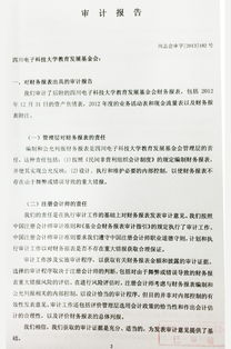 大学审计报告格式(审计报告的格式)