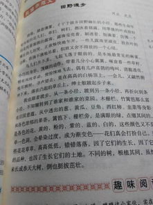 记一次有意义的活动作文开头怎么写