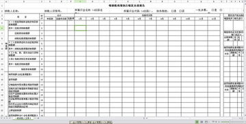 政策执行情况自查报告(政策执行情况自查报告)