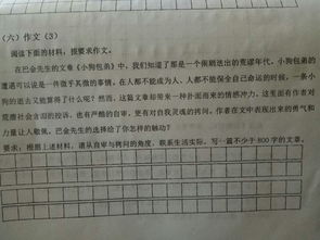 我是主角作文700字开头