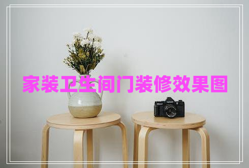 家装卫生间门装修效果图