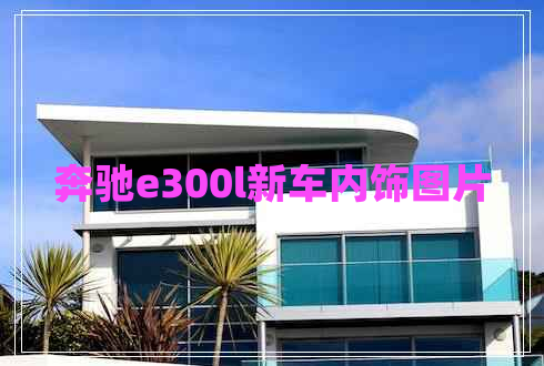 奔驰e300l新车内饰图片