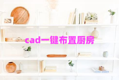 cad一键布置厨房