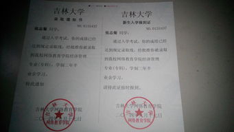 自考本科学历能考教师编制吗