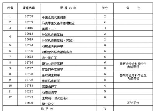 新疆自考什么本科专业