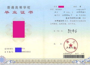 自考动画设计本科山东