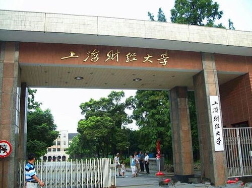 上海财经大学自考会计本科难吗