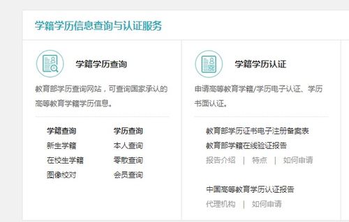 自考本科查不到学籍信息么