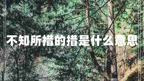 不知所措的措是什么意思