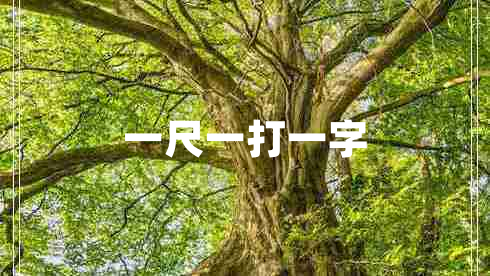 一尺一打一字