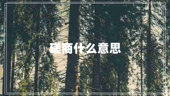 磋商什么意思