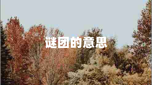 谜团的意思