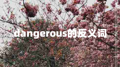 dangerous的反义词