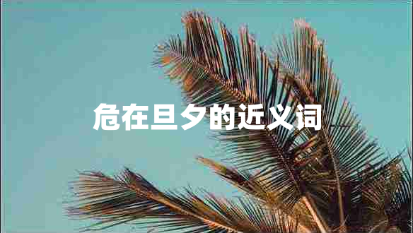 危在旦夕的近义词