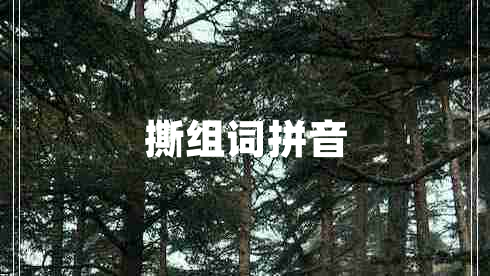 撕组词拼音