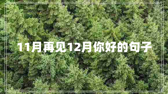 11月再见12月你好的句子