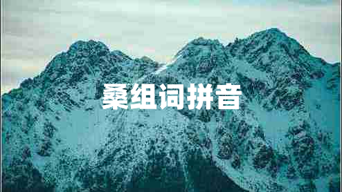 桑组词拼音