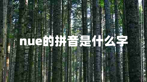 nue的拼音是什么字