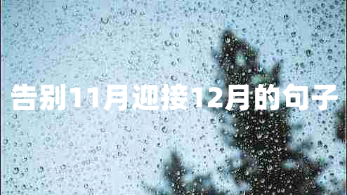 告别11月迎接12月的句子