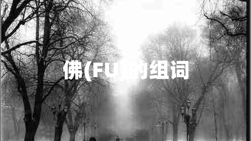 佛(FU)的组词