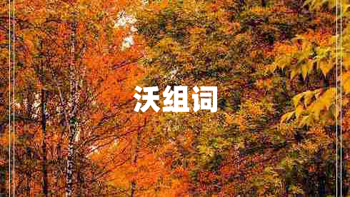 沃组词