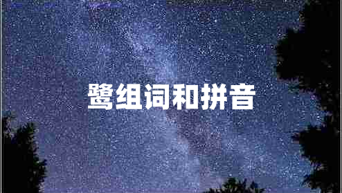 鹭组词和拼音