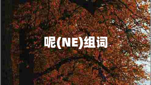 呢(NE)组词