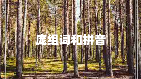 庞组词和拼音