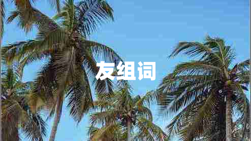 友组词