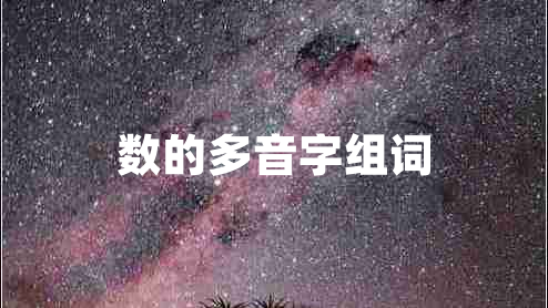 数的多音字组词