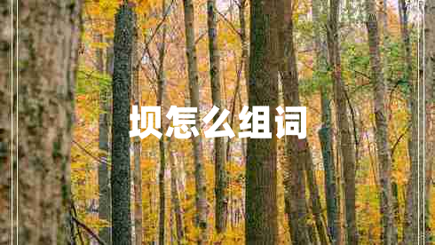 坝怎么组词