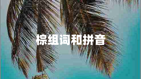 棕组词和拼音