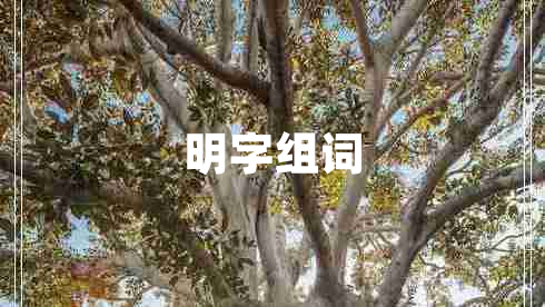 明字组词