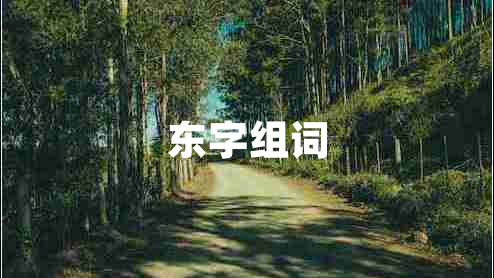 东字组词