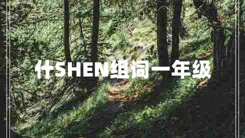 什SHEN组词一年级