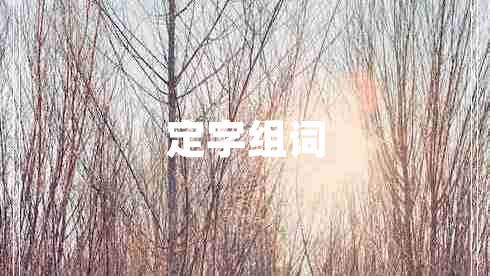 定字组词