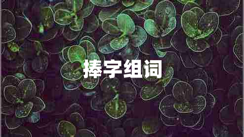 捧字组词