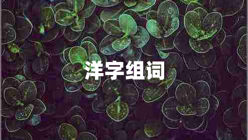 洋字组词