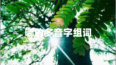 哪的多音字组词