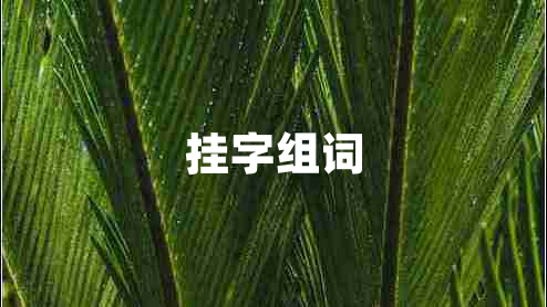 挂字组词