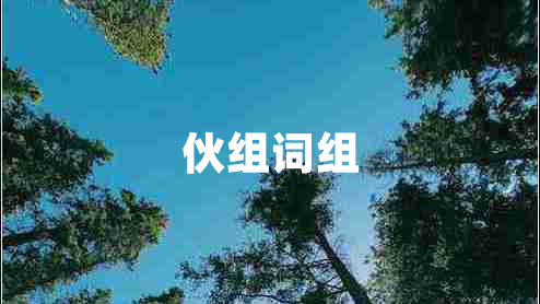 伙组词组