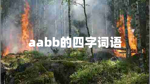 aabb的四字词语