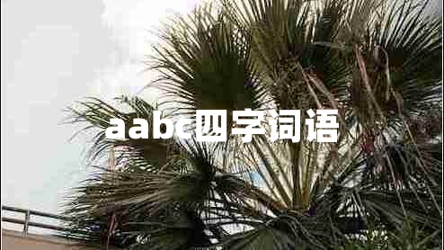 aabc四字词语