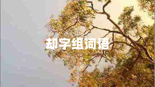 却字组词语