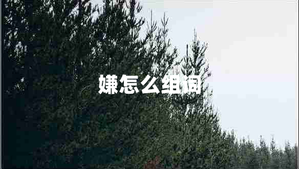 嫌怎么组词