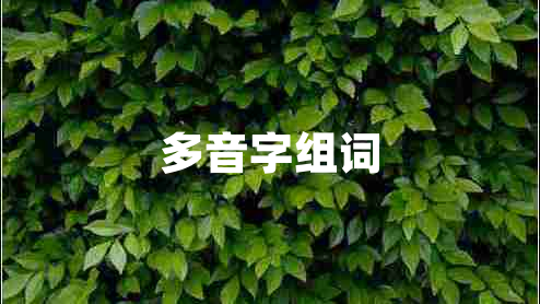 多音字组词