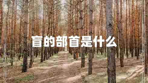 盲的部首是什么