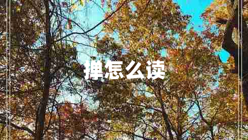 掸怎么读