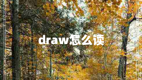 draw怎么读