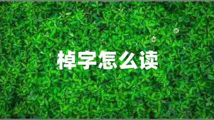 棹字怎么读